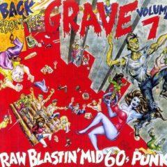 Various ‎– Back From The Grave Volume 7