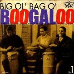 Various ‎– Big Ol' Bag O' Boogaloo Vol. 1