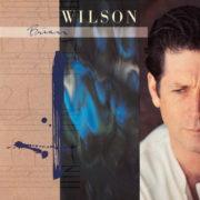 Brian Wilson - Brian Wilson   180 Gram