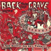 Various ‎– Back From The Grave Volume 9