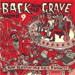 Various ‎– Back From The Grave Volume 9