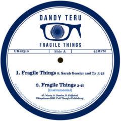 Dandy Teru - Fragile Things  Colored Vinyl