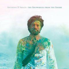 Anthony D'Amato - D'amato, Anthony : Shipwreck from the Shore  Dig