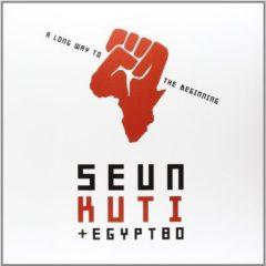 Seun Kuti - Long Way to the Beginning