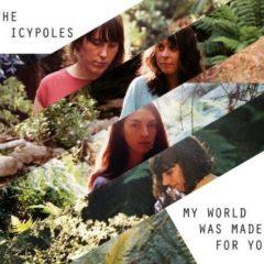 Icypoles - My World Was Made for You