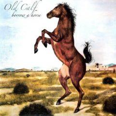Old Calf - Borrow a Horse