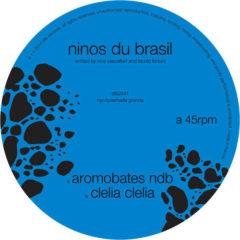 Ninos Du Brazil - Aromobates NBD  Digital Download