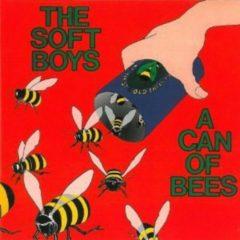 The Soft Boys - Can of Bees