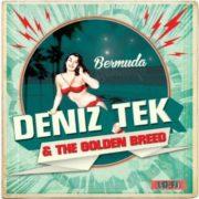 Deniz Tek, Deniz Tek & the Golden Breed - Bermuda