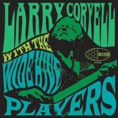 Larry Coryell - Larry Coryell with the Wide Hive Players