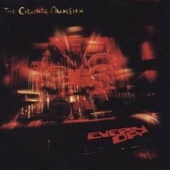 The Cinematic Orchestra - Everyday  180 Gram, Downloadable Bonus T