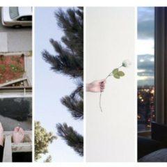 Counterparts - Counterparts : Difference Between Hell & Home