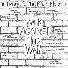 Various Artists - Pink Floyd: Tribute to Back / Various