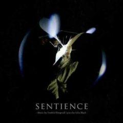 Klingwall Fredrik & - Sentience (black Vinyl)  Black