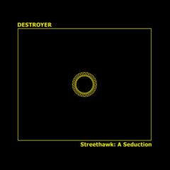 Destroyer, The Destr - Streethawk: A Seduction  Reissue