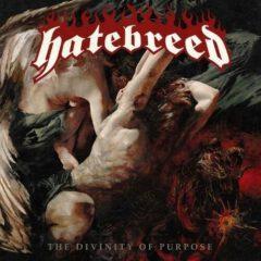 Hatebreed - Divinity of Purpose  Bonus Track