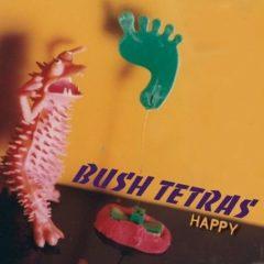 Bush Tetras - Happy