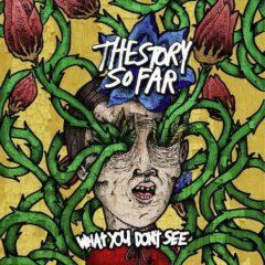 The Story So Far - What You Don't See