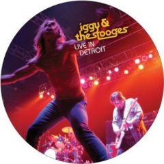 Iggy & Stooges - Live Indetroit 2003