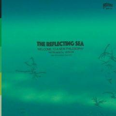 Damu The Fudgemunk & - Instrumentals From The Reflecting Sea