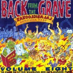 Various ‎– Back From The Grave Volume Eight