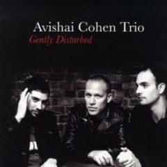 Cohen Avishai - Gently Disturbed
