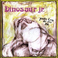 Dinosaur Jr. - You're Living All Over Me  Reissue