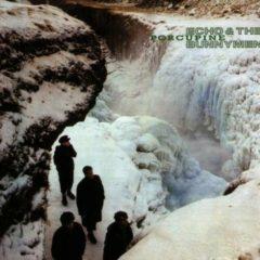 Echo & the Bunnymen - Porcupine  Reissue