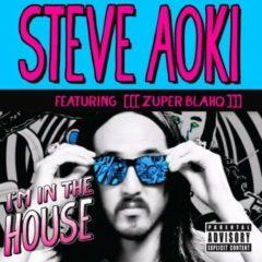 Steve Aoki - I'm in the House
