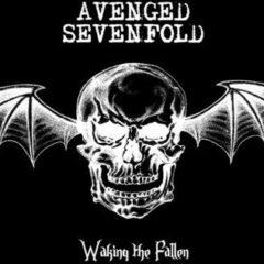 Avenged Sevenfold - Waking the Fallen  Black