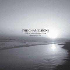 The Chameleons - Live at the Gallery Club