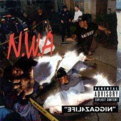 N.W.A., Easy E, Dr. Dre, MC Ren - Niggaz4Life  Explicit