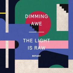 Botany - Dimming Awe, The Light Is Raw  Colored Vinyl, Pink