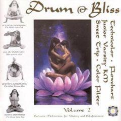 Various Artists - Drum & Bliss 2 / Various