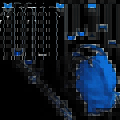 Mdou Moctar - Blue Stage Session