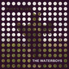 The Waterboys - Puck's Blues  10