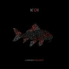 Lorenzo Feliciati - Koi