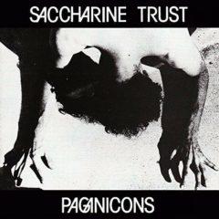 Saccharine Trust - Pagan Icons