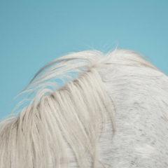 Widowspeak - All Yours  Poster, Mp3 Download