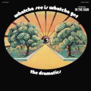 The Dramatics - Whatcha See Is Whatcha Get