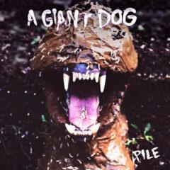 Giant Dog - Pile  Digital Download