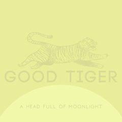 Good Tiger - Head Full of Moonlight