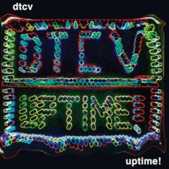 DTCV - Uptime