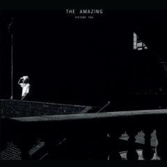 The Amazing - Picture You  Digital Download