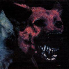 Protomartyr - Under Color of Official Right  Digital Download