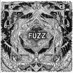 The Fuzz - II