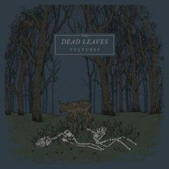 Dead Leaves - Vultures