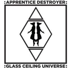 Apprentice Destroyer - Glass Ceiling Universe