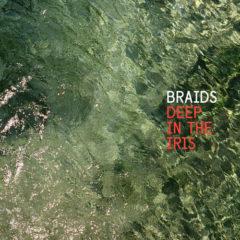 Braids - Deep in the Iris (2015)