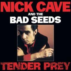 Nick Cave & the Bad - Tender Prey